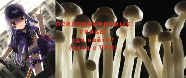 таблы Шадринск