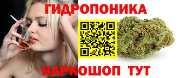 PSILOCYBIN Краснодар