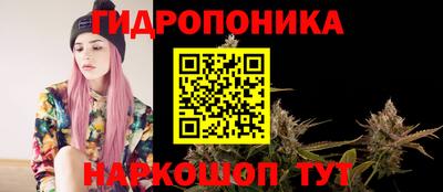 PSILOCYBIN Краснодар