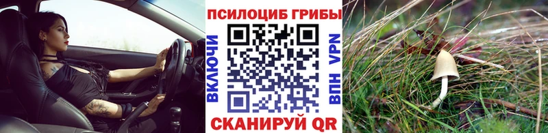 ссылка на мегу ссылка  Нурлат  Псилоцибиновые грибы Cubensis 
