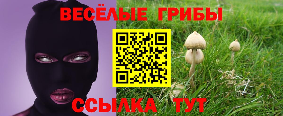 Alpha PVP СК   Нурлат  Гашиш  Бошки Шишки  MDMA  Канабис  Меф МЯУ МЯУ  