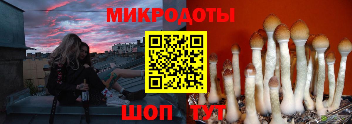 как найти закладки  Вход с VPN  Нурлат  Псилоцибиновые грибы мухоморы 